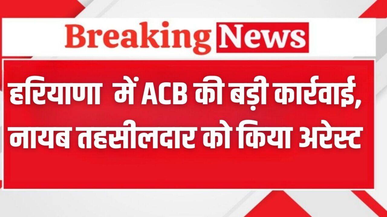 Haryana News: हरियाणा के रोहतक में ACB की बड़ी कार्रवाई, नायब तहसीलदार को किया अरेस्ट, जानें पूरा मामला