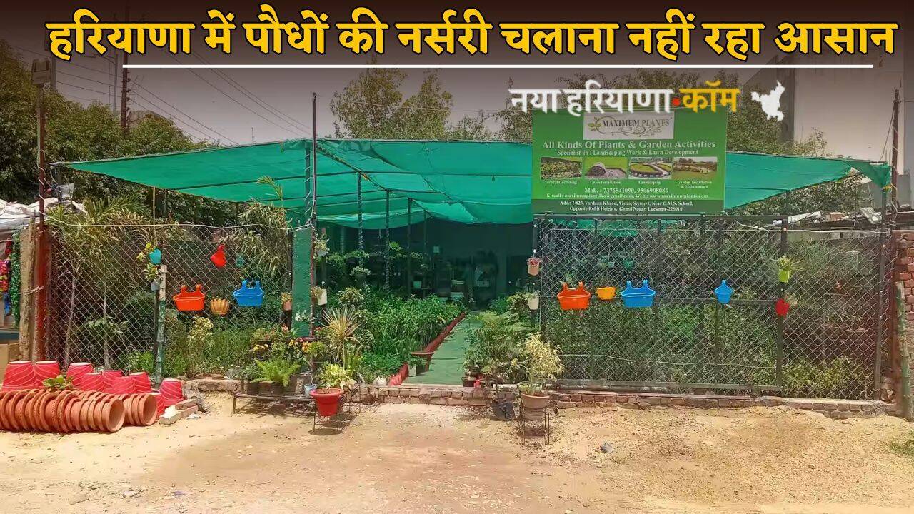 Haryana : हरियाणा में पौधों की नर्सरी चलाना नहीं रहा आसान, सरकार ने बनाए नए नियम; उल्लंघन करने पर होगी जेल
