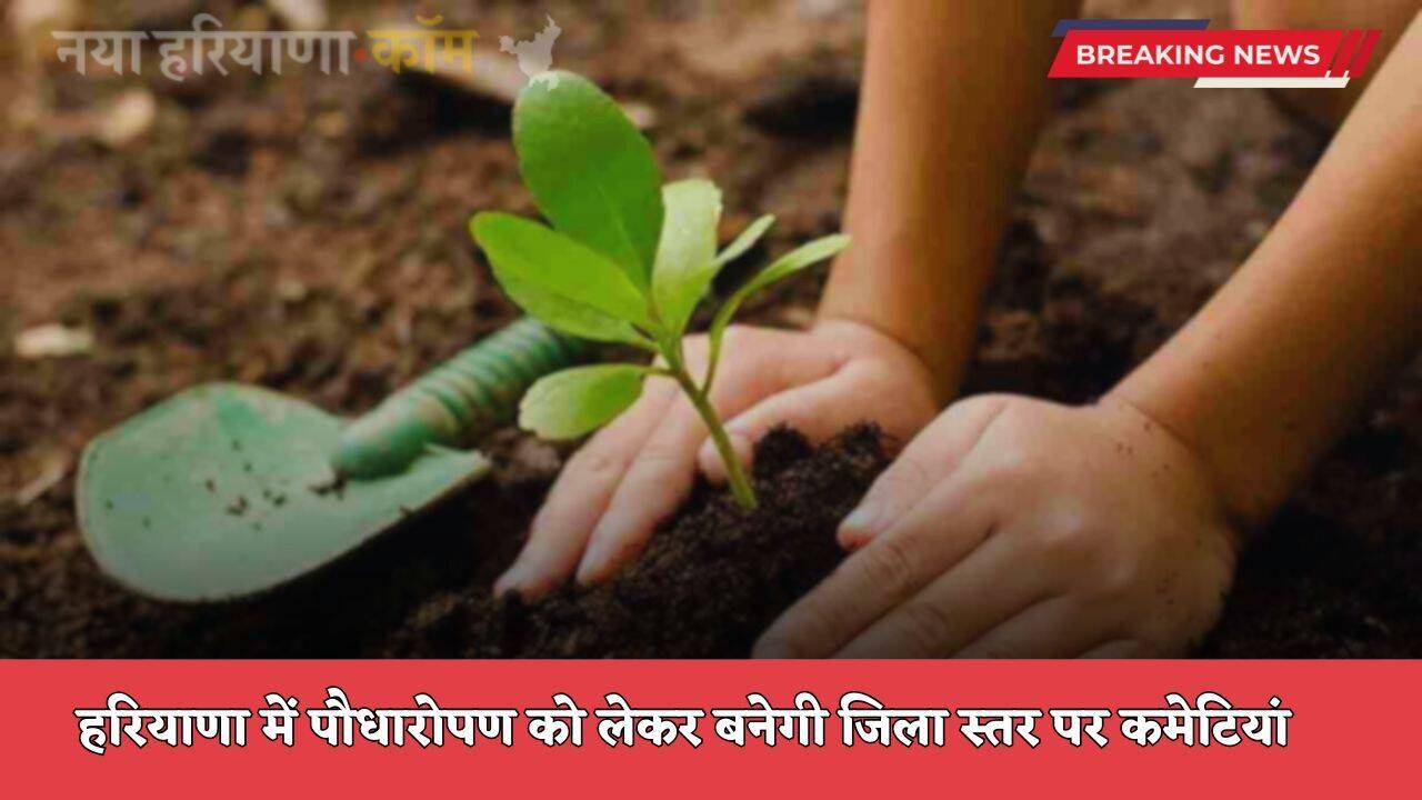 Haryana: हरियाणा में पौधारोपण को लेकर बनेगी जिला स्तर पर कमेटियां, मुख्य सचिव ने जारी किए ये निर्देश