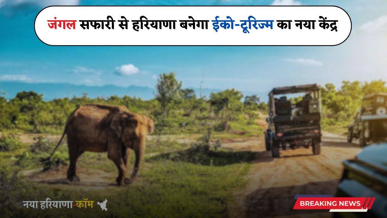 Haryana: हरियाणा बनेगा जंगल सफारी से ईको-टूरिज्म का नया केंद्र, इन लोगों को मिलेगा रोजगार