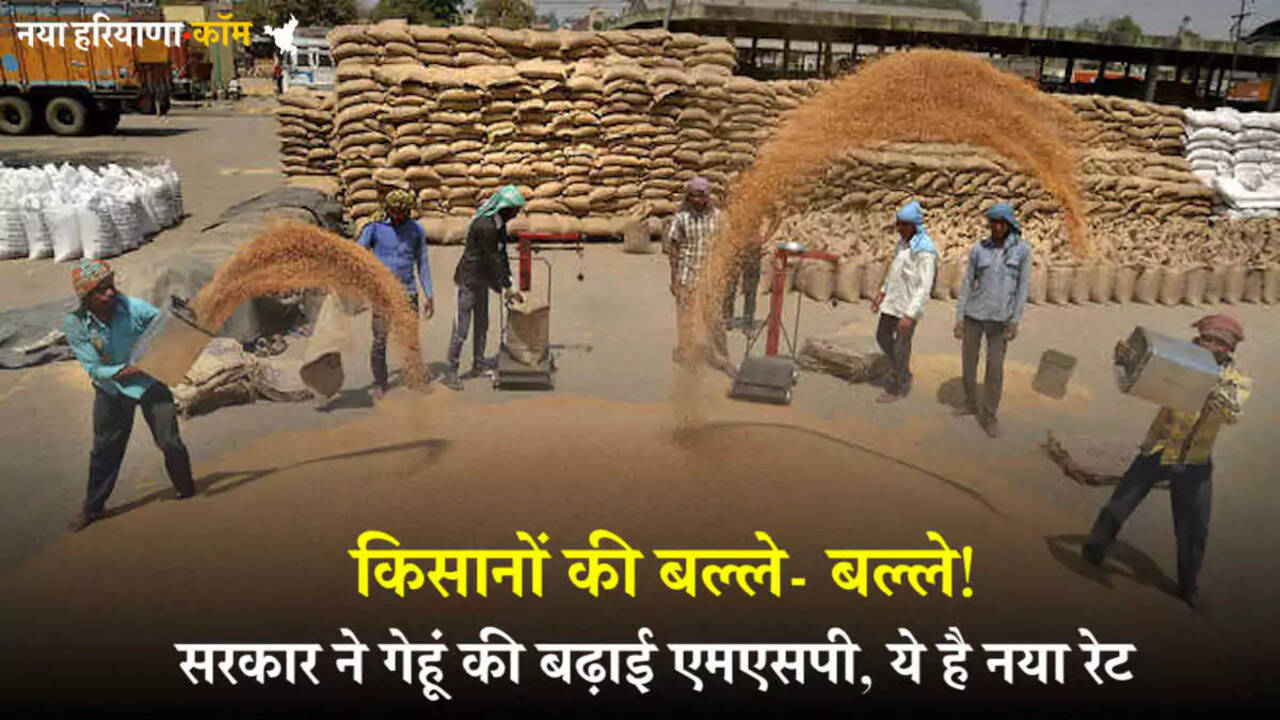 हरियाणा में किसानों के लिए बड़ी ख़ुशख़बरी, सरकार ने गेहूं की बढ़ाई MSP, ये है नया रेट