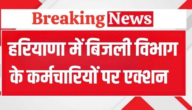 Haryana News: हरियाणा में बिजली विभाग के कर्मचारियों पर बड़ा एक्शन, लगाया इतना जुर्माना