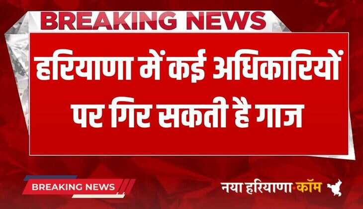 Haryana News: हरियाणा में कई अधिकारियों पर गिर सकती है गाज, सैनी सरकार ने इस मामले में दिए जांच के आदेश