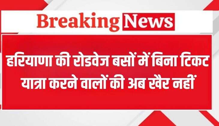 Haryana News: हरियाणा की रोडवेज बसों में बिना टिकट यात्रा करने वालों की अब खैर नहीं, पकड़ने जाने पर देना पड़ेगा इतना जुर्माना