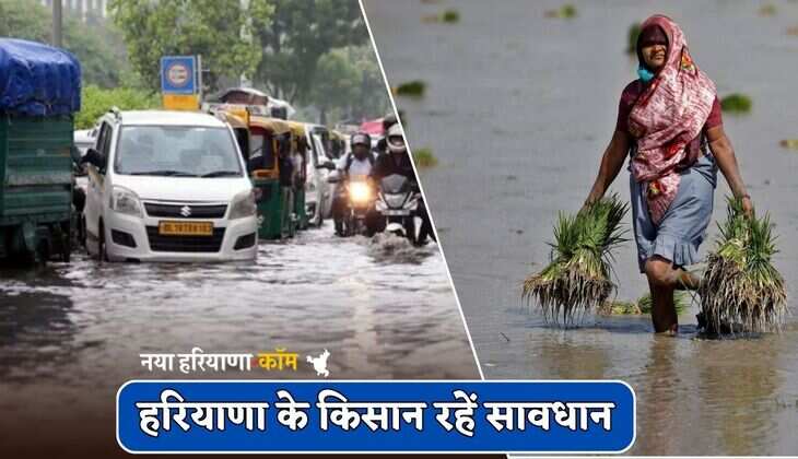 Haryana Weather : हरियाणा के किसान रहें सावधान, आज इन जिलों में होगी तेज बारिश