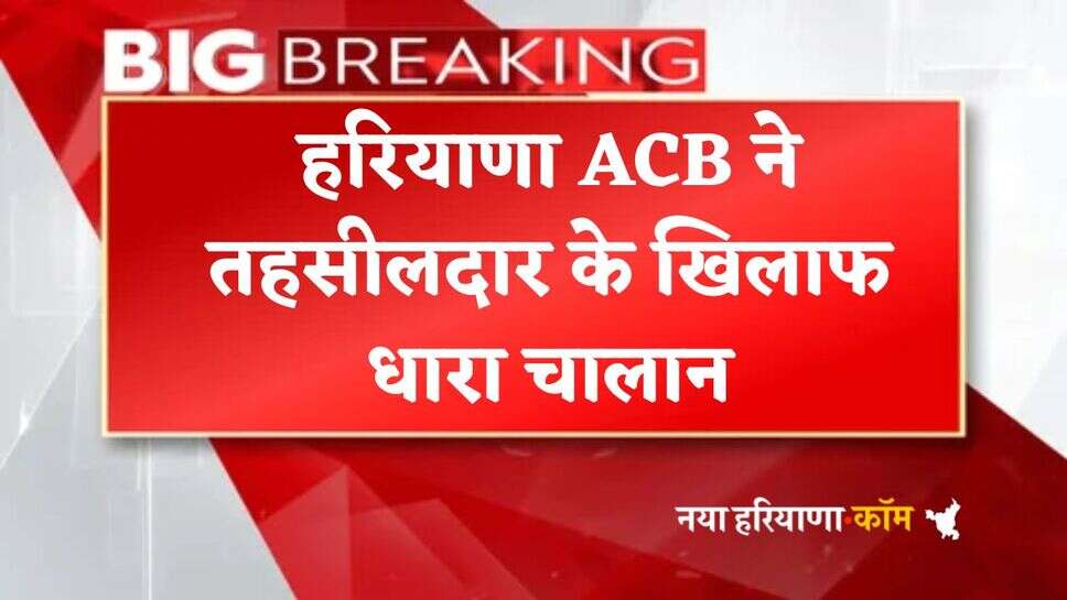 Haryana : हरियाणा ACB का ताबड़तोड़ एक्शन, तहसीलदार के खिलाफ धरा चालान