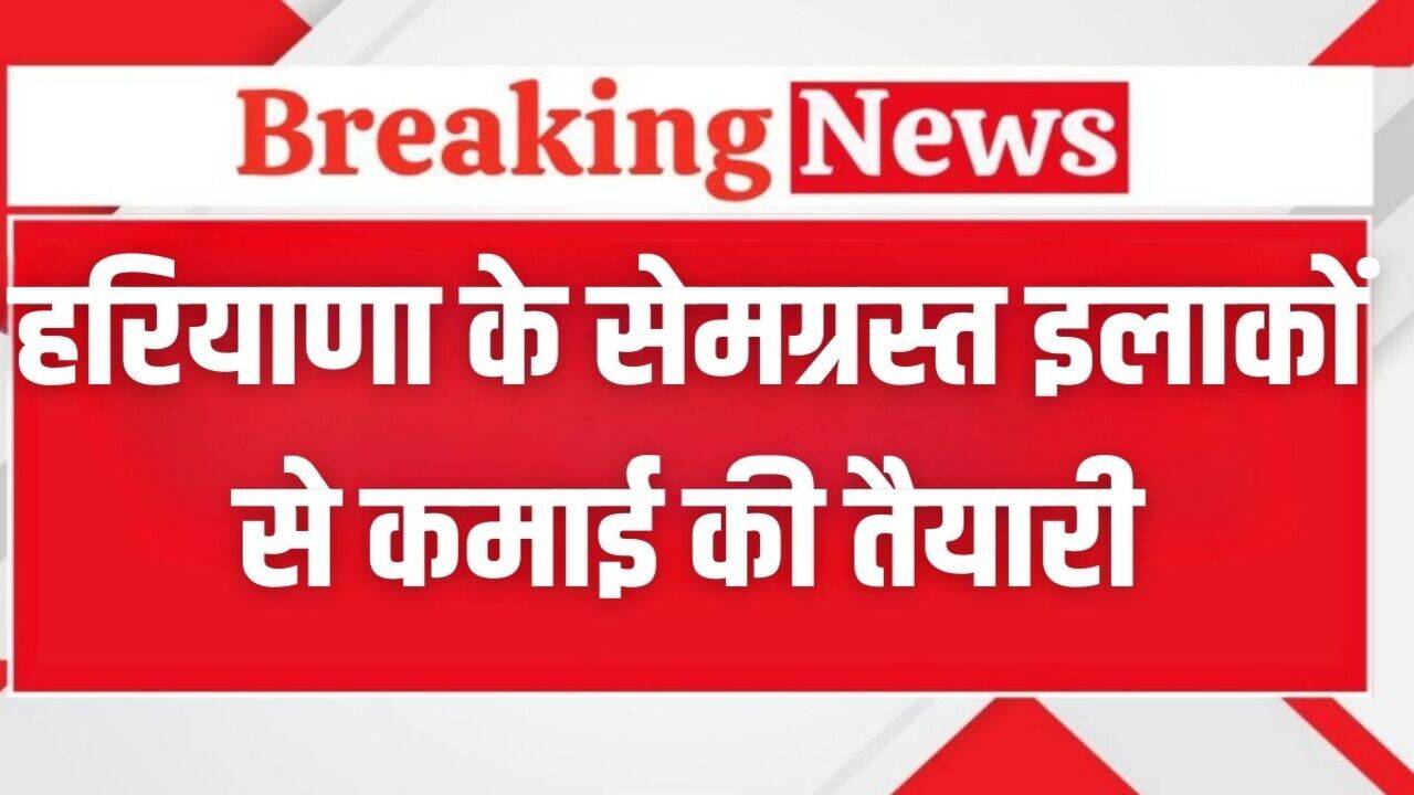 Haryana News: हरियाणा के सेमग्रस्त इलाकों से कमाई की तैयारी, कृषि मंत्री ने अधिकारियों को दिये ये निर्देश