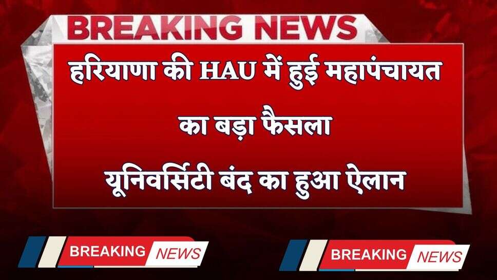 Haryana: हरियाणा की HAU में हुई महापंचायत का बड़ा फैसला, यूनिवर्सिटी बंद का हुआ ऐलान