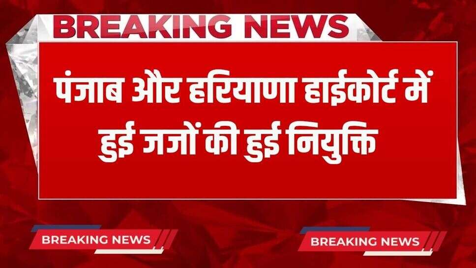 Haryana News: पंजाब और हरियाणा हाईकोर्ट में हुई जजों की नियुक्ति, फटाफट चेक करें लिस्ट