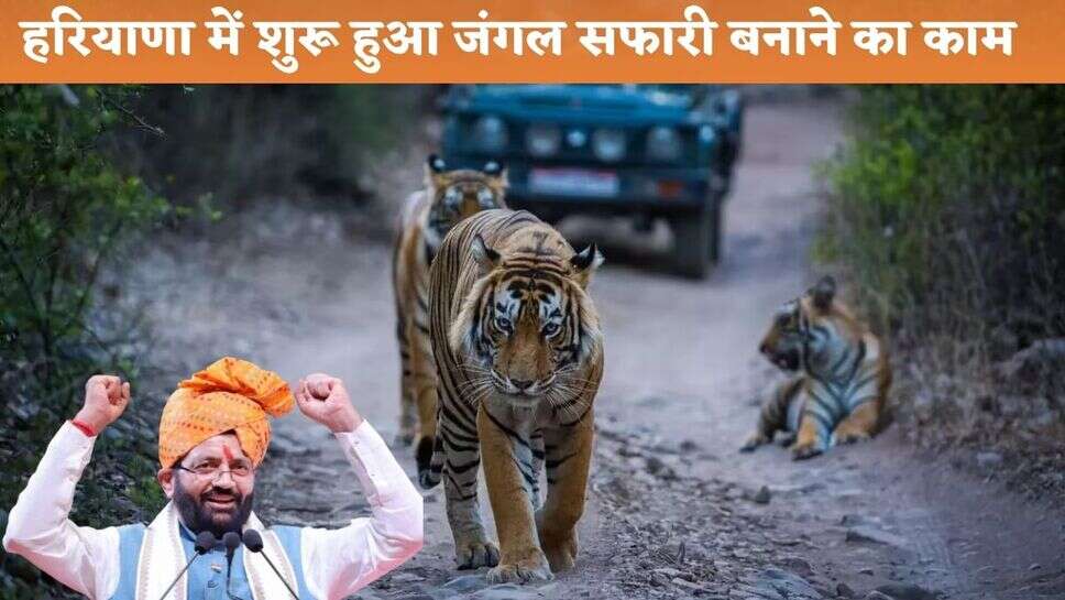 Haryana Jungle Safari: हरियाणा में शुरू हुआ जंगल सफारी बनाने का काम, 10,000 एकड़ में बनेगी, जानें क्या होगा खास