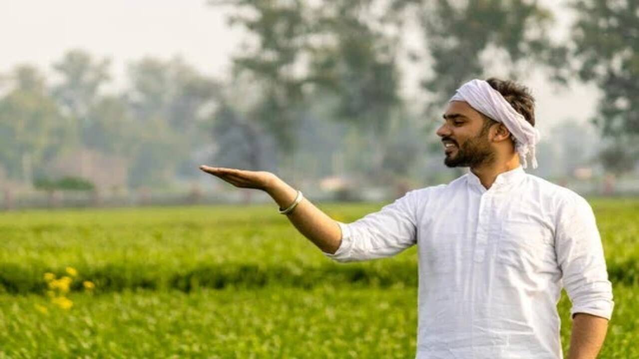 हरियाणा और पंजाब खेतों में खाद देने के मामले देश में टॉप, पंजाब में प्रति हेक्टेयर सालाना 375.63 किलोग्राम यूरिया खपत, जानें