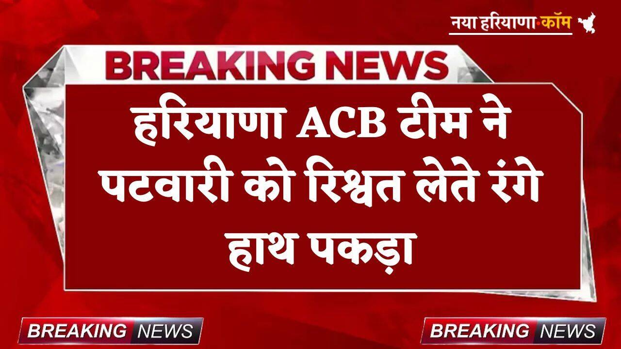 Haryana: हरियाणा ACB टीम ने पटवारी को रिश्वत लेते रंगे हाथ पकड़ा, इस मामले में मांगे थे 20,000 रुपये