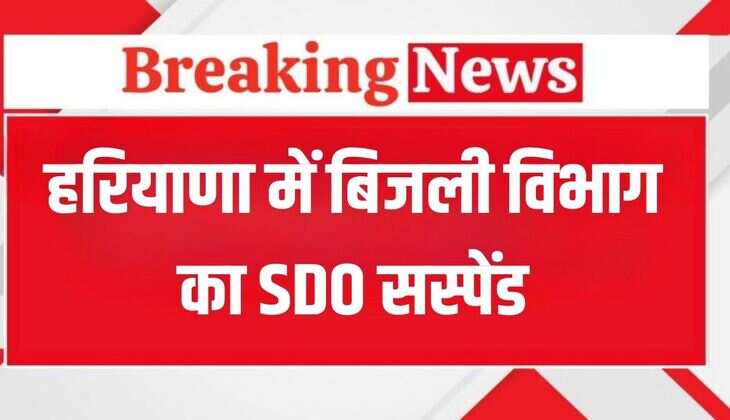 Haryana News: हरियाणा में बिजली विभाग का SDO सस्पेंड, जारी हुए आदेश