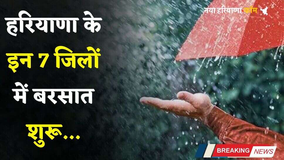 Haryana Weather: हरियाणा के इन 7 जिलों में बरसात शुरू, 14 जिलों में आंधी-बारिश की चेतवानी