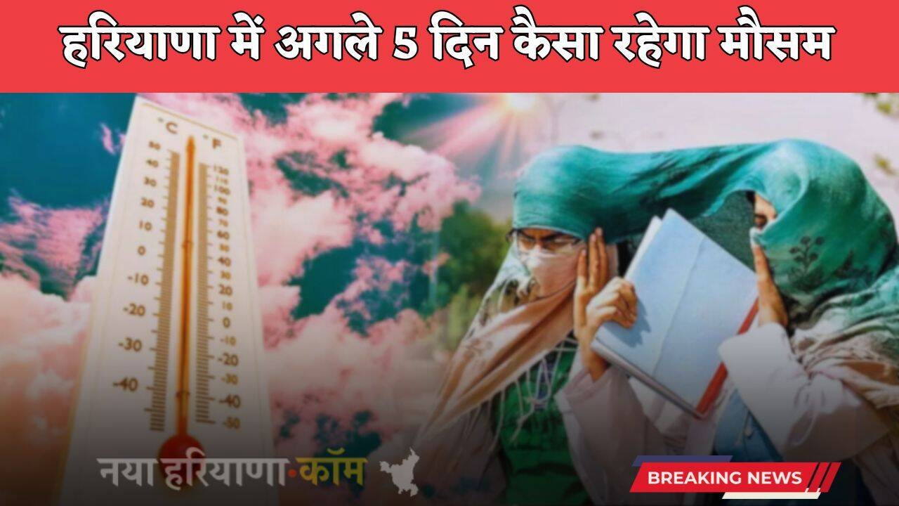 Haryana Weather: हरियाणा में अगले 5 दिन कैसा रहेगा मौसम, देखें विभाग की ताजा जानकारी