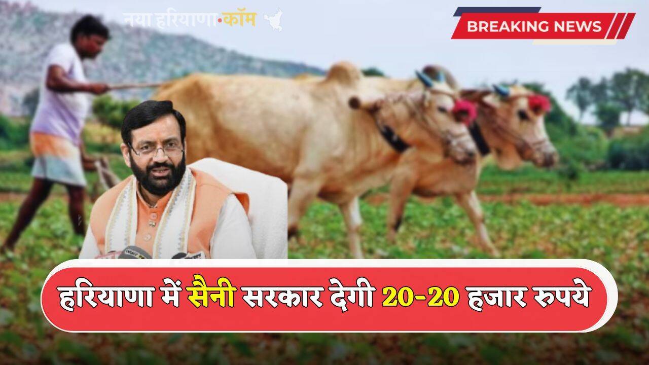 Haryana: हरियाणा में किसानों की हुई मौज, सैनी सरकार देगी 20-20 हजार रुपये