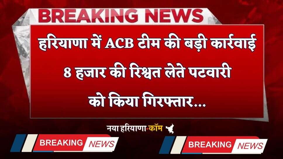 Haryana: हरियाणा में ACB टीम की बड़ी कार्रवाई, 8 हजार की रिश्वत लेते पटवारी को किया गिरफ्तार