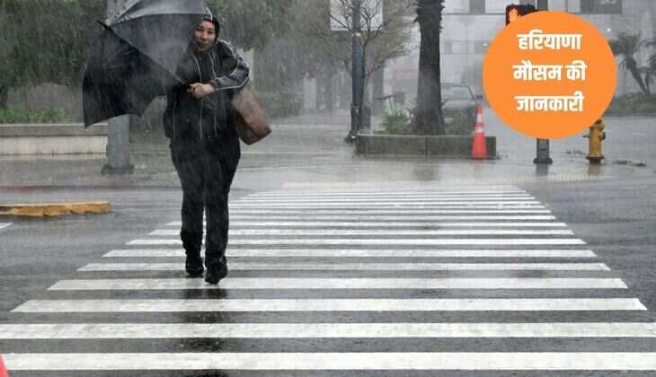 Haryana Rain: हरियाणा में अचानक बदला मौसम, इन जिलों में आंधी-तूफान के साथ शुरू हुई झमाझम बारिश, ओले भी गिरे