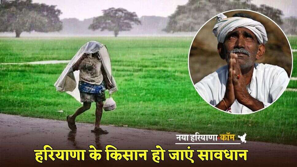 Haryana Weather: हरियाणा के किसान हो जाएं सावधान, 18 जिलों में मूसलाधार बारिश का अलर्ट