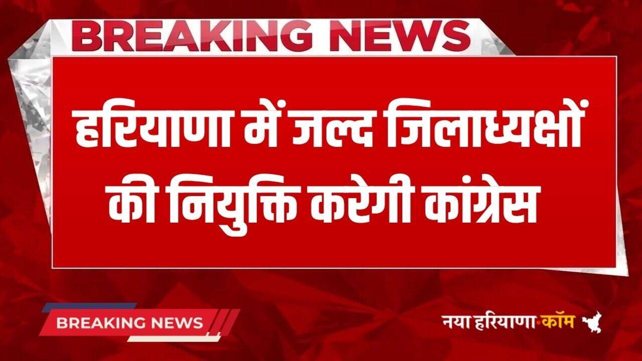 Haryana Congress: हरियाणा में जानें कब होगी कांग्रेस के जिलाध्यक्षों की नियुक्ति, प्रदेश प्रभारी ने किया बड़ा दावा