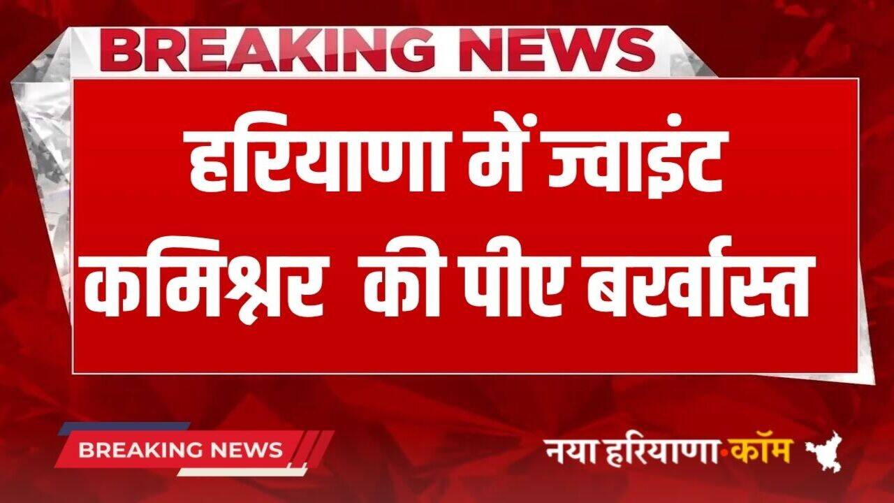 Haryana News: हरियाणा में Joint Commissioner की पीए बर्खास्त, प्रॉपर्टी टैक्स ब्रांच में किया था 4.50 करोड़ का घोटाला
