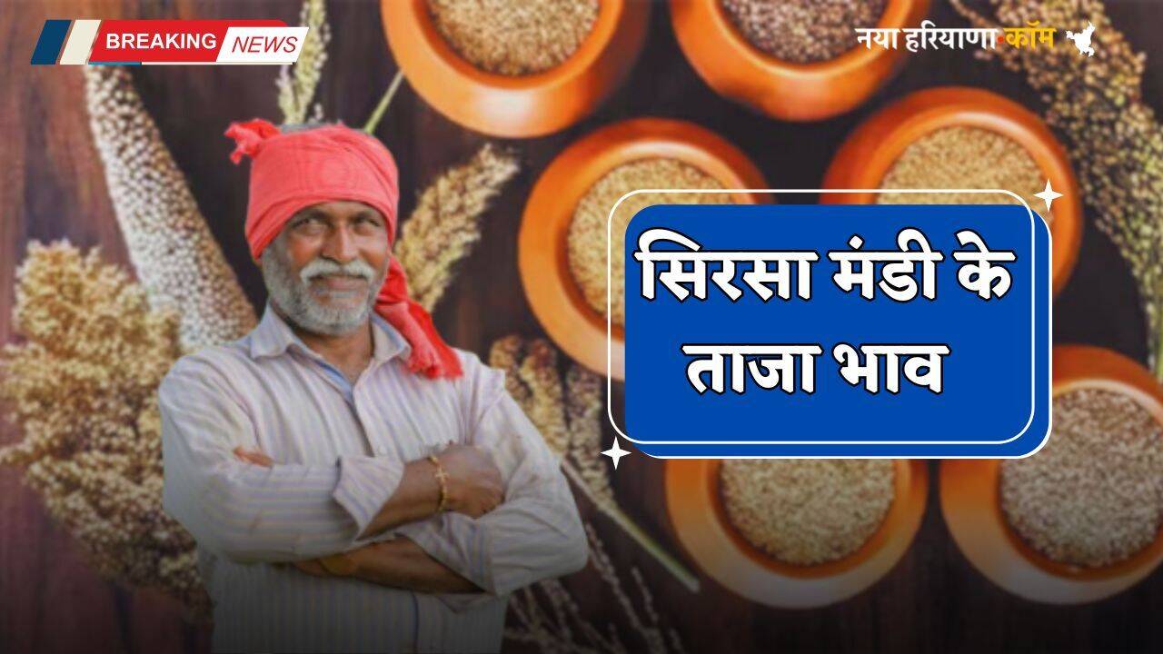 Mandi Bhav: हरियाणा की सिरसा मंडी के ताजा भाव जारी, देखें आज के नए रेट
