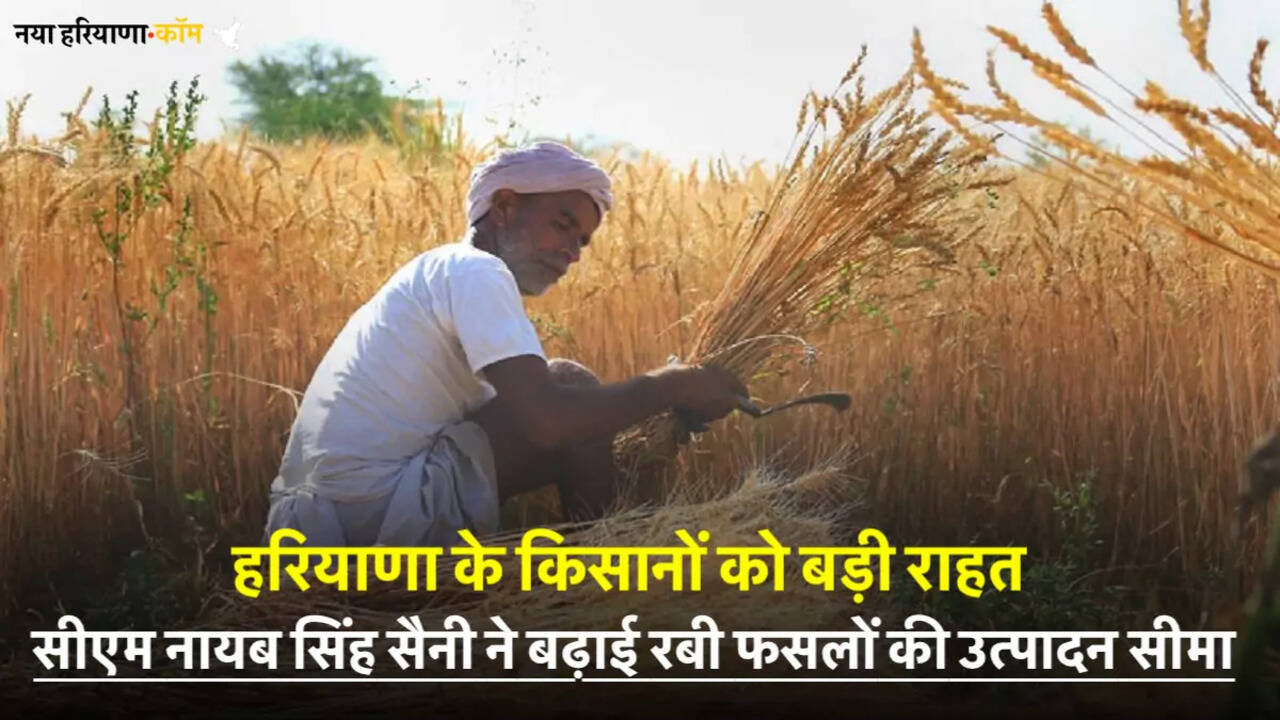 हरियाणा के किसानों को बड़ी राहत: सीएम नायब सिंह सैनी ने बढ़ाई रबी फसलों की उत्पादन सीमा