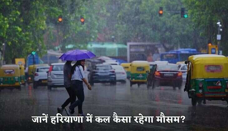 Haryana Kal Ka Mausam: जानें हरियाणा में कल कैसा रहेगा मौसम, आपके जिले में बारिश होगी या नहीं?