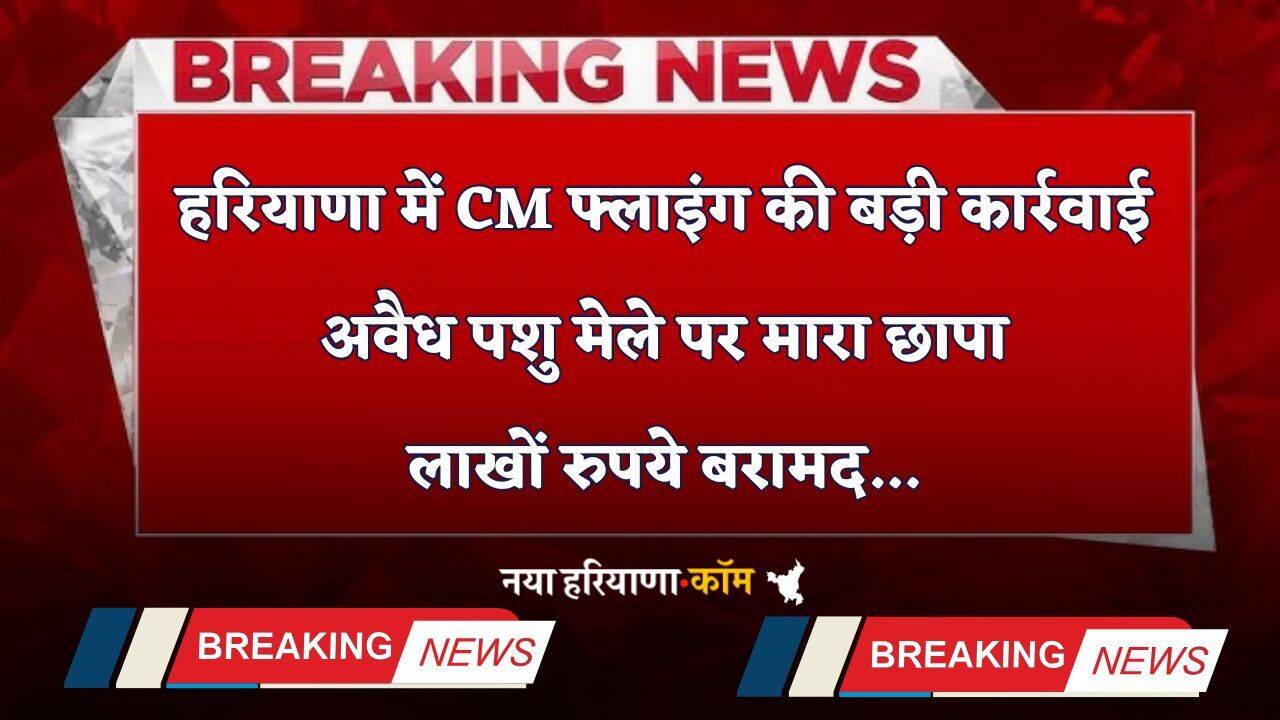 Haryana: हरियाणा में CM फ्लाइंग की बड़ी कार्रवाई, अवैध पशु मेले पर मारा छापा, लाखों रुपये बरामद