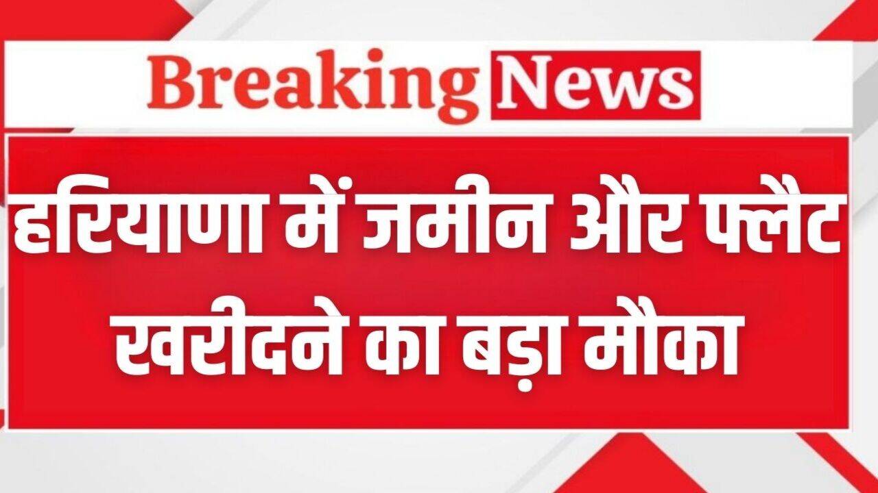 Haryana News: हरियाणा में जमीन और फ्लैट खरीदने का बड़ा मौका, HSVP इस महीने करेगा संपत्तियों की ई-नीलामी, ये रही पूरी डिटेल
