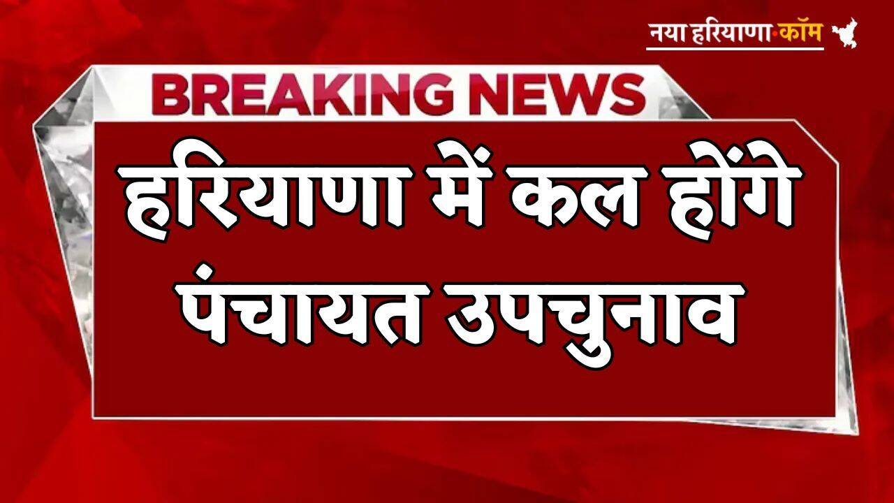 Haryana: हरियाणा में पंचायत उपचुनाव के लिए किस समय शुरू होगा मतदान, यहां जानें पूरी डिटेल
