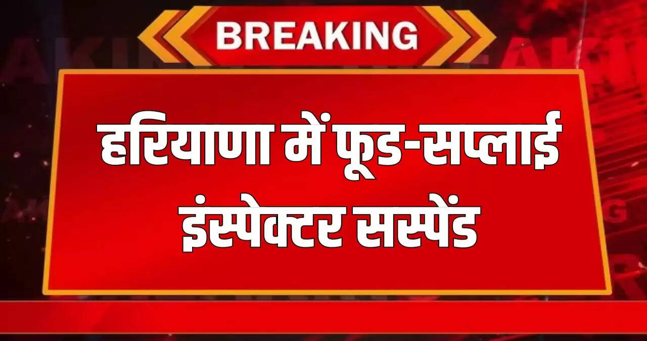 haryana news