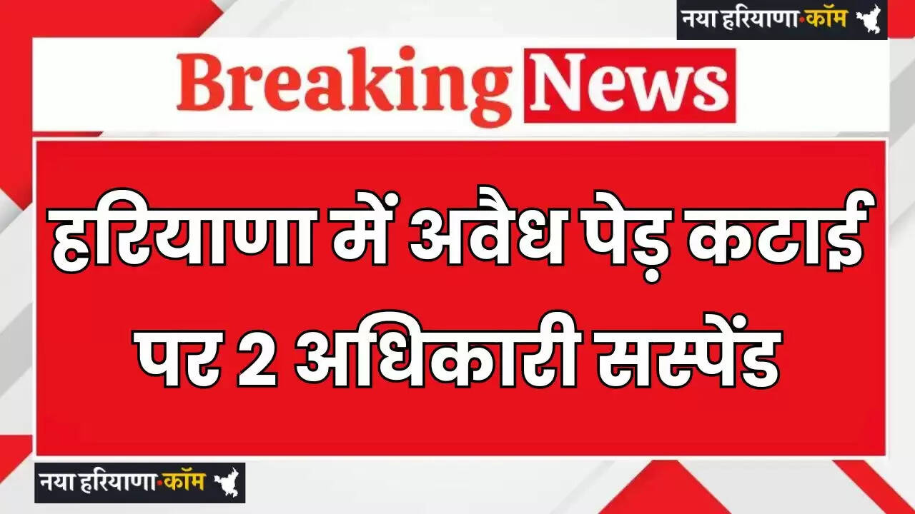 Haryana: हरियाणा में अवैध पेड़ कटाई पर सख्त कार्रवाई, मंत्री ने किए दो अधिकारी सस्पेंड