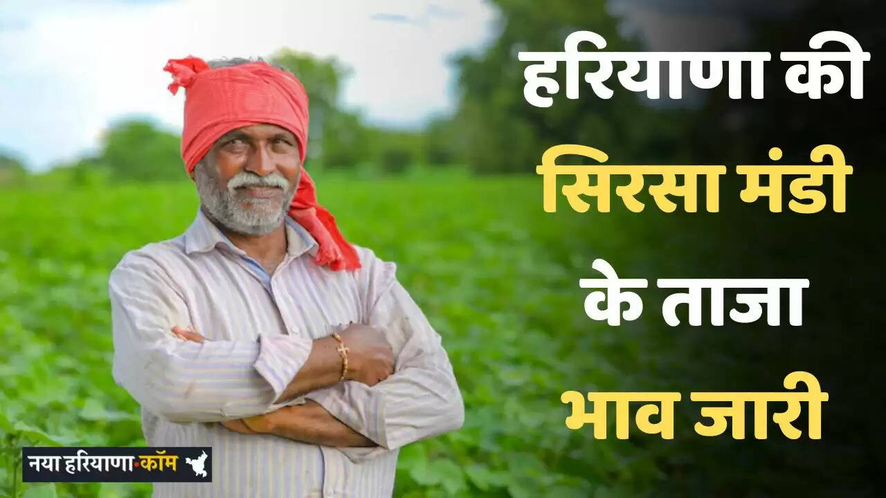 Latest prices of Sirsa Mandi of Haryana released