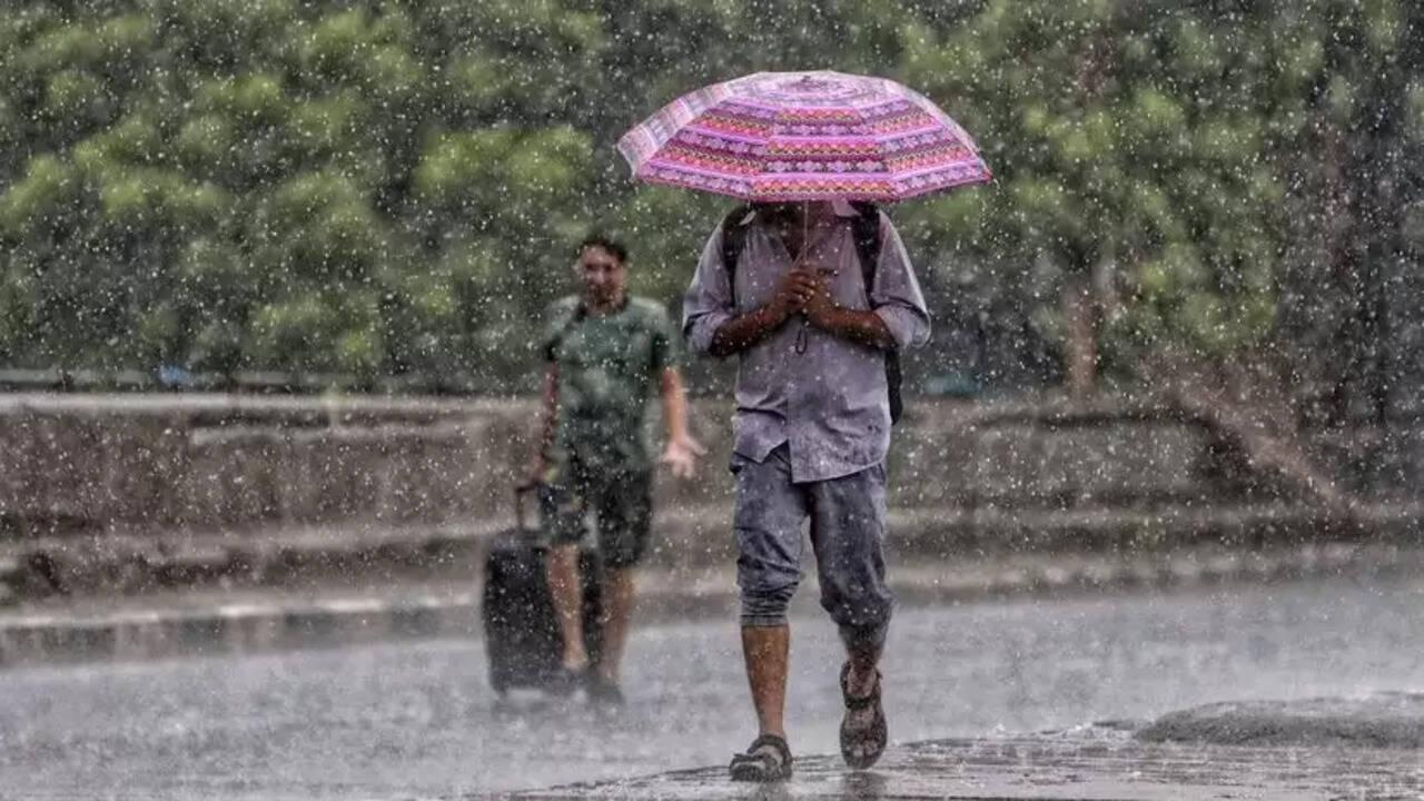  There will be heavy rain in Haryana till July 29, alert issued