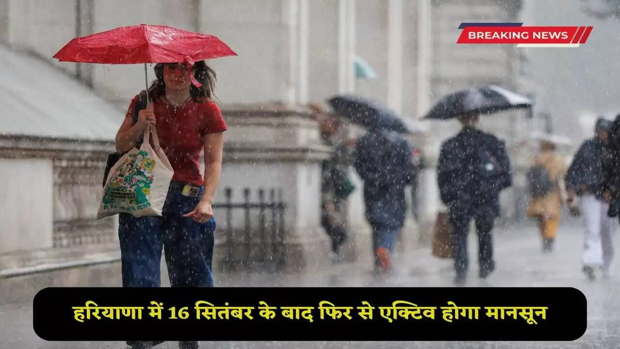 Monsoon will be active again in Haryana after September 16