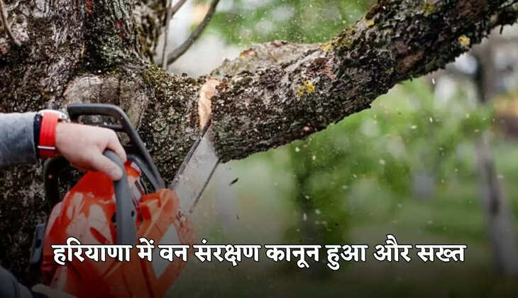 haryana