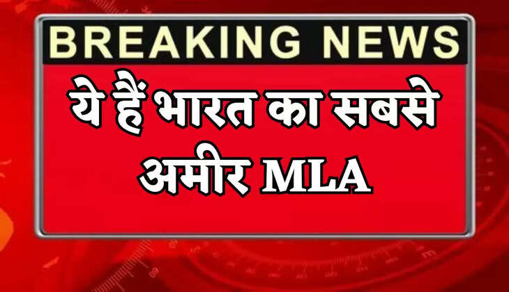 This is India's richest MLA.