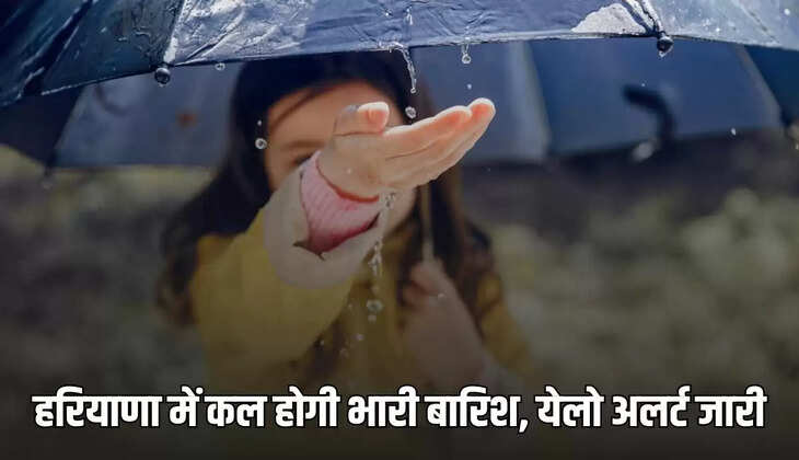 There will be heavy rain in these districts of Haryana tomorrow