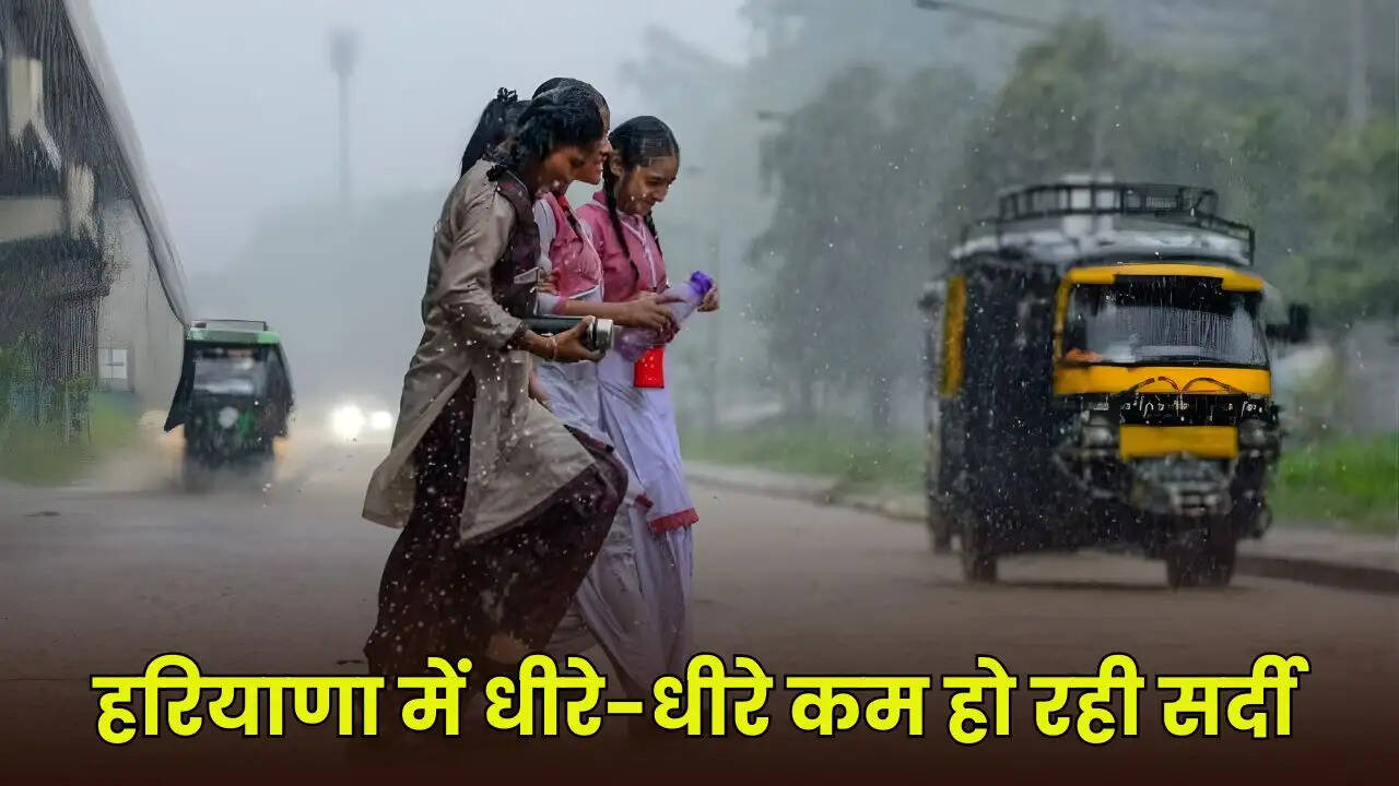 haryana weather udpate