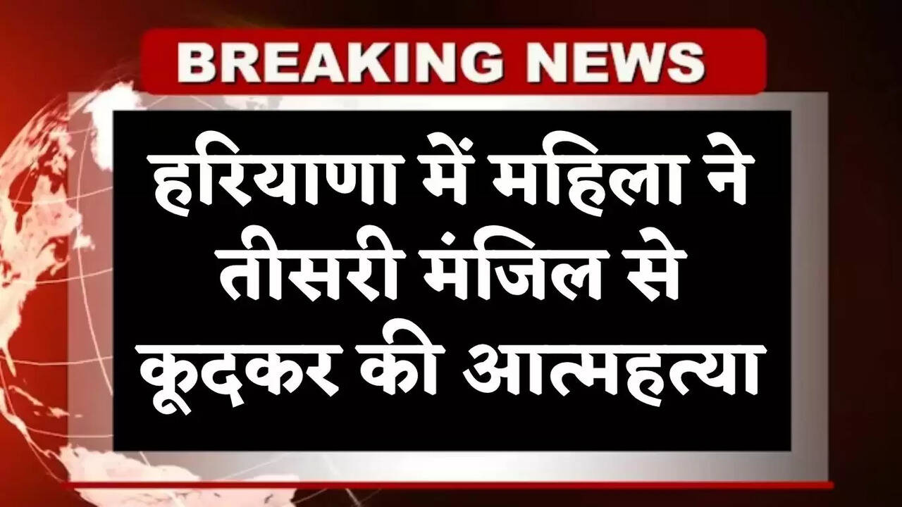 haryana news