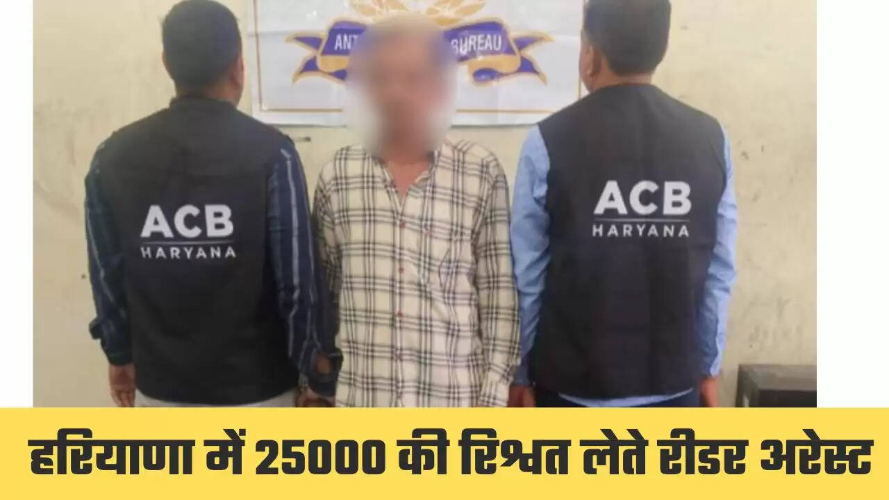 हरियाणा में तहसीलदार का रीडर रिश्वत लेते गिरफ्तार, 25 हजार की ले रहा था रिश्वत
