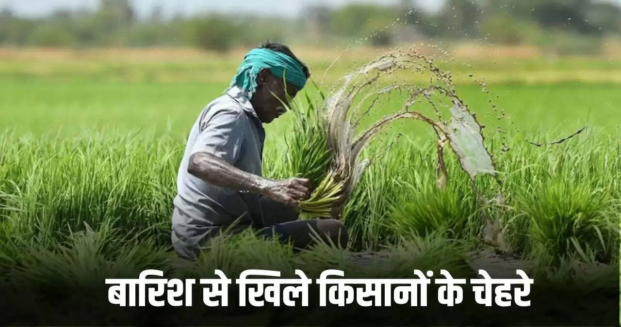 Haryana News