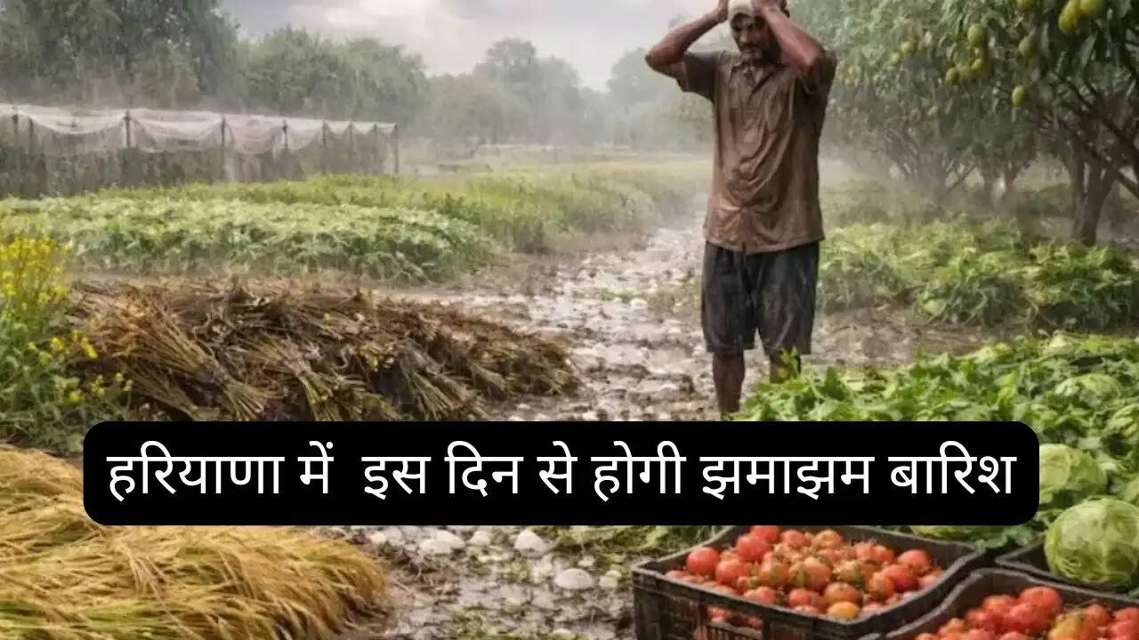 हरियाणा में नया पश्चिमी विक्षोभ सक्रिय, इस दिन से होगी झमाझम बारिश