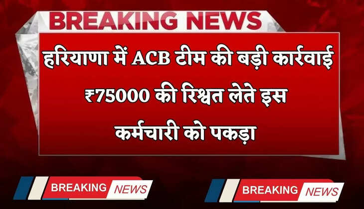   Haryana: हरियाणा में ACB टीम की बड़ी कार्रवाई, ₹75000 की रिश्वत लेते इस कर्मचारी को पकड़ा 