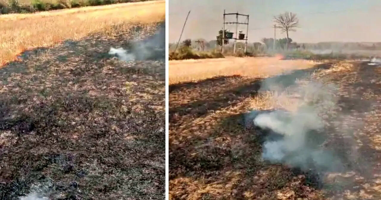 फसल में आगजनी से नुकसान का विवरण प्रभावित खसरा नम्बर के किसान क्षतिपूर्ति पोर्टल पर 28 अप्रैल तक करवाएं दर्ज