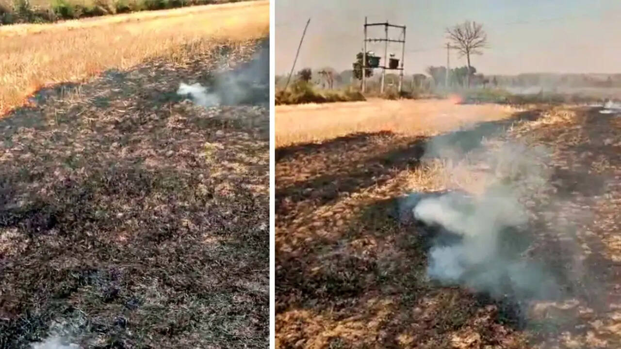 फसल में आगजनी से नुकसान का विवरण प्रभावित खसरा नम्बर के किसान क्षतिपूर्ति पोर्टल पर 28 अप्रैल तक करवाएं दर्ज