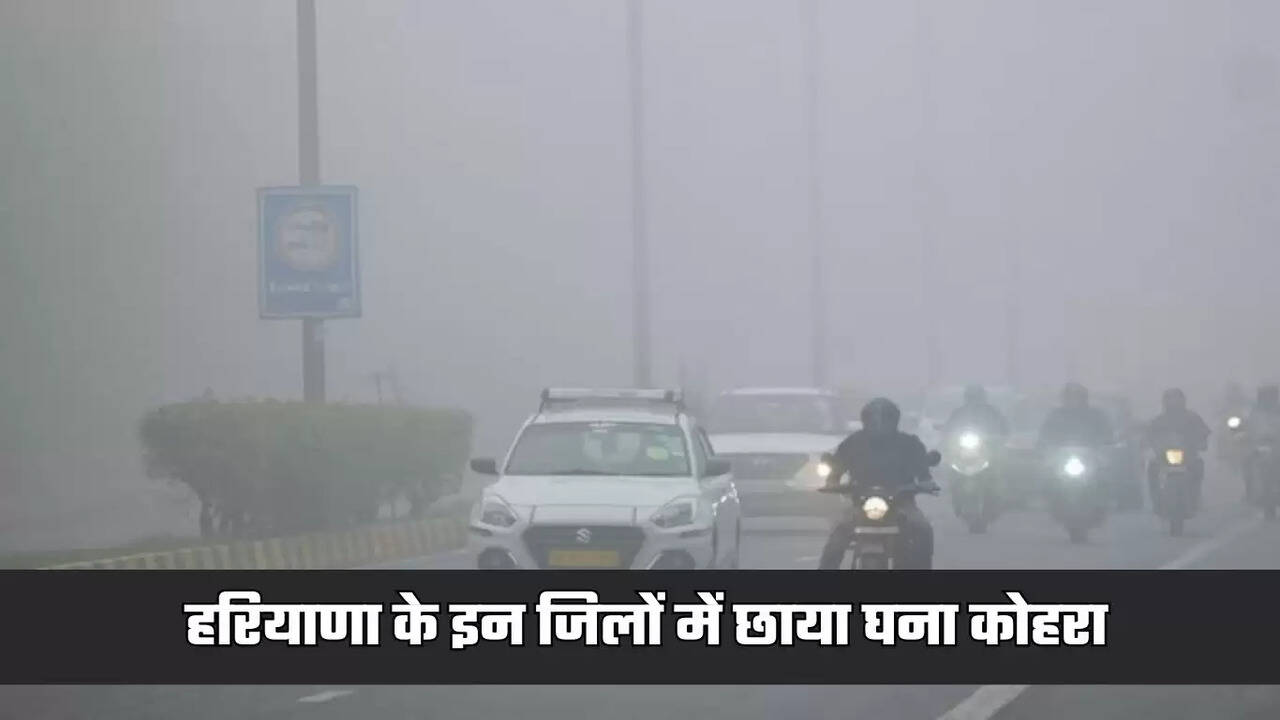 haryana weather