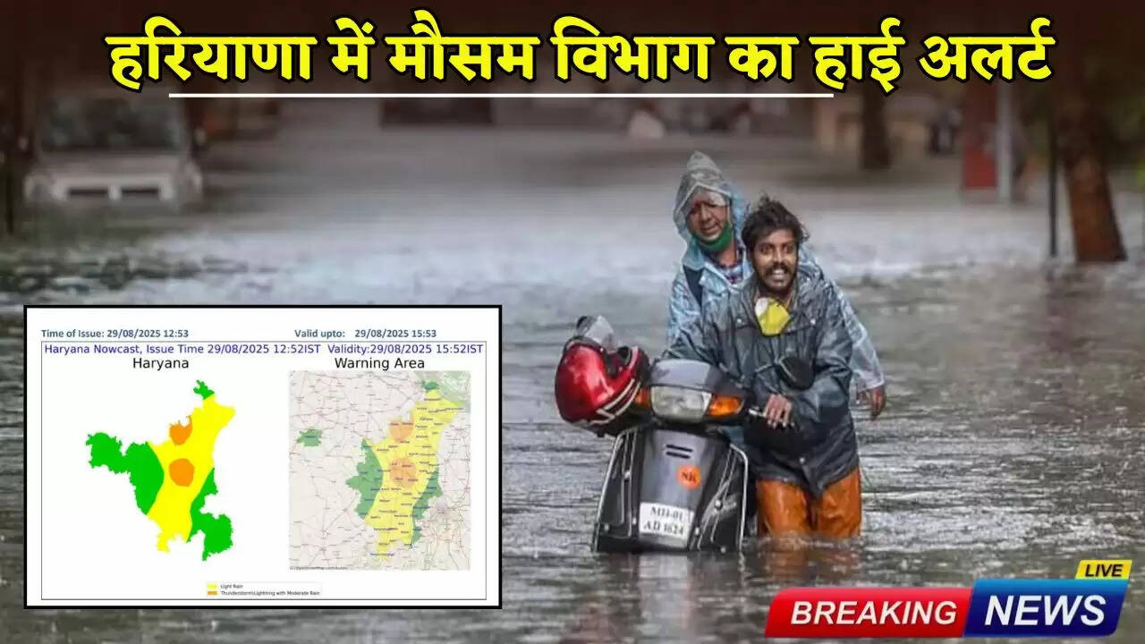 Meteorological department issued high alert in Haryana