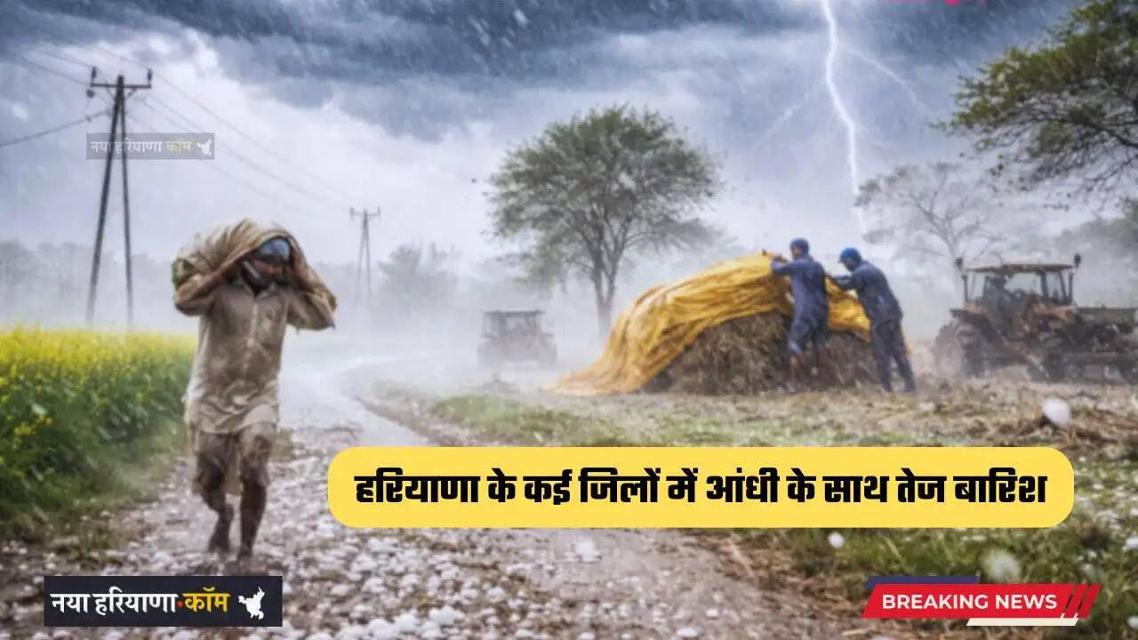 Haryana Weather: हरियाणा के कई जिलों में आंधी के साथ तेज बारिश, देखें ताजा अपडेट&nbsp;